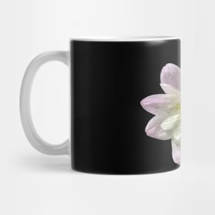 Pretty purple white yellow Dahlia Botanical Bee Flower Annual Mug